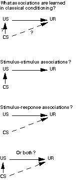 associations in classical conditioning