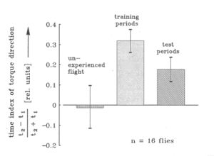 performance indices