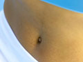 Bauch  Images Source