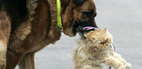 Week in pictures (credit: Reuters)